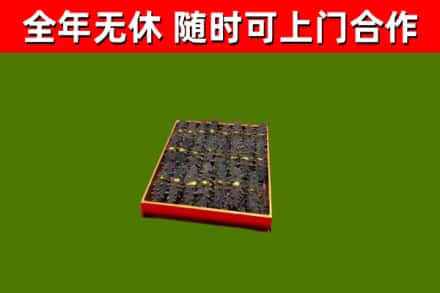 南市回收海参